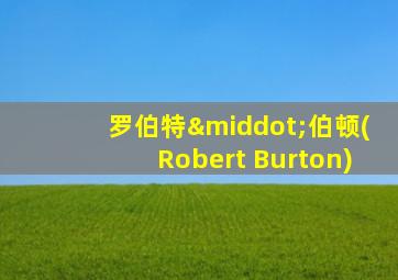 罗伯特·伯顿(Robert Burton)